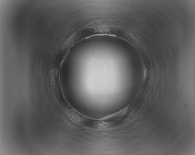 X0000062670229200512281747