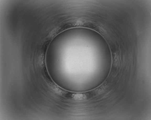 X0000062670230200512281747