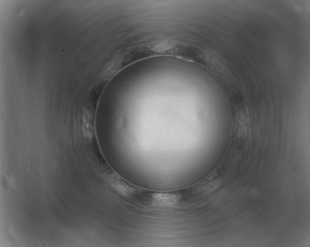 X0000062670234200512281747