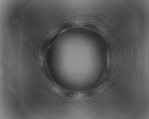 X0000062670235200512281747