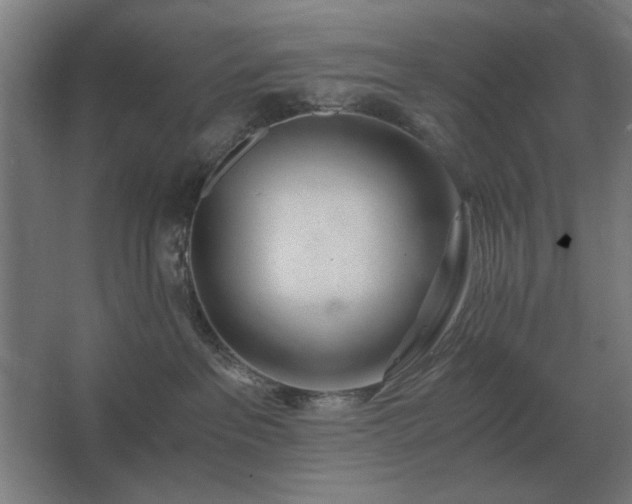 X0000062670237200512281747