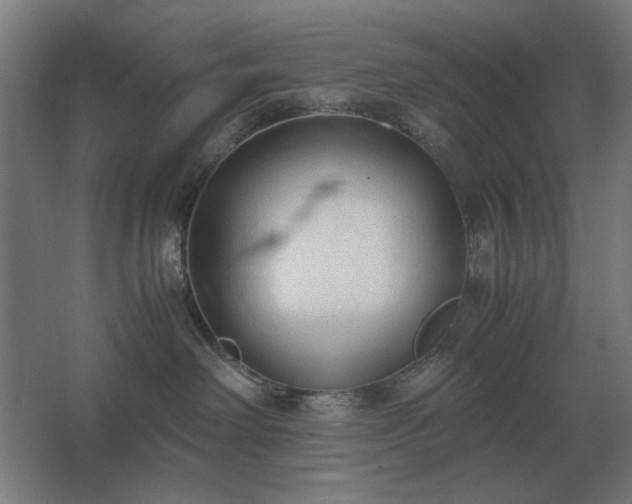 X0000062670238200512281747