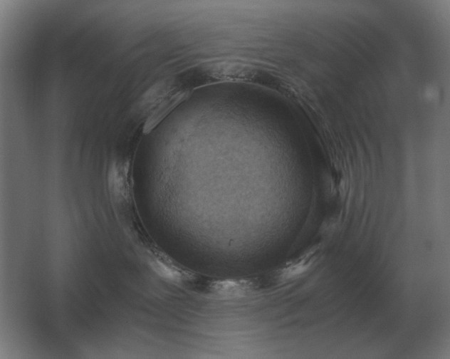 X0000062670239200512281747