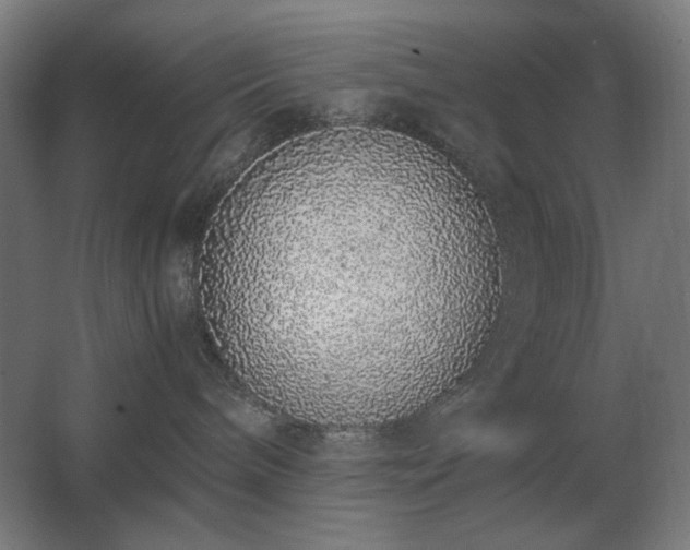 X0000062670240200512281747