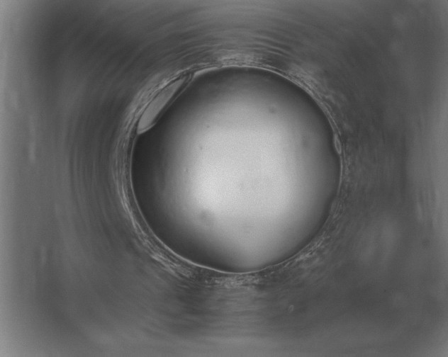 X0000062670241200512281746