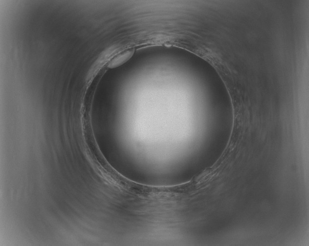 X0000062670242200512281746