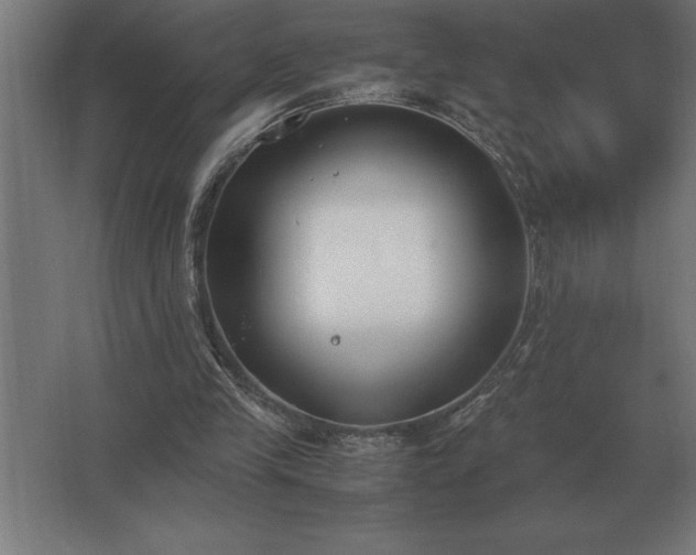 X0000062670245200512281746