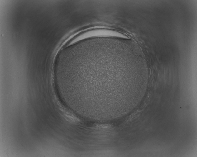 X0000062670247200512281746