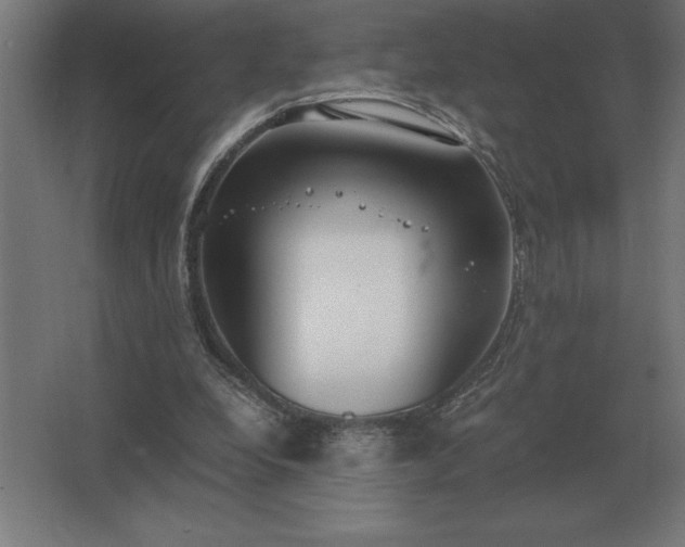 X0000062670248200512281746