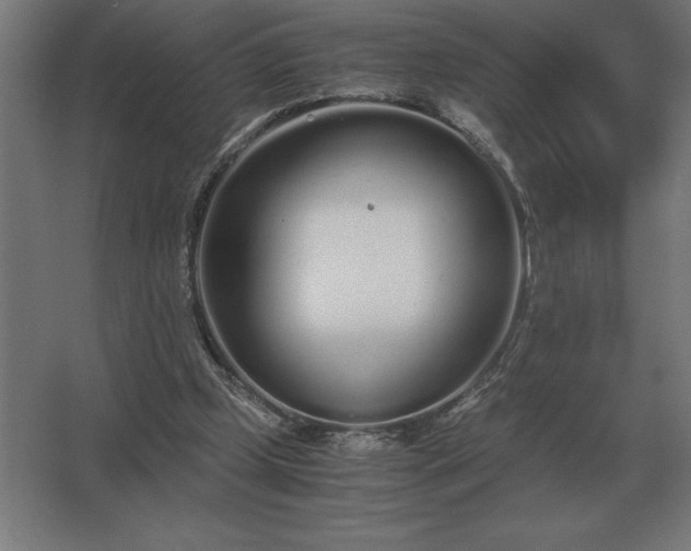 X0000062670249200512281746