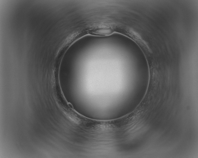 X0000062670250200512281746