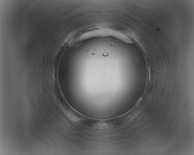 X0000062670253200512281747