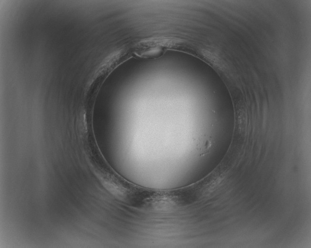 X0000062670254200512281747