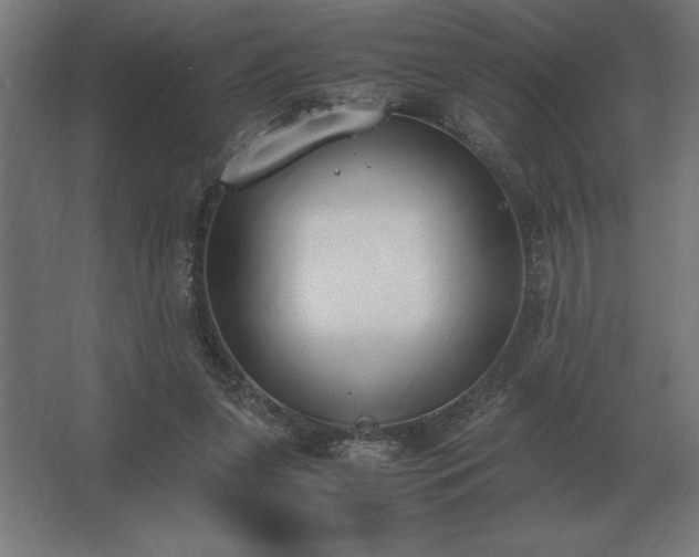 X0000062670255200512281747