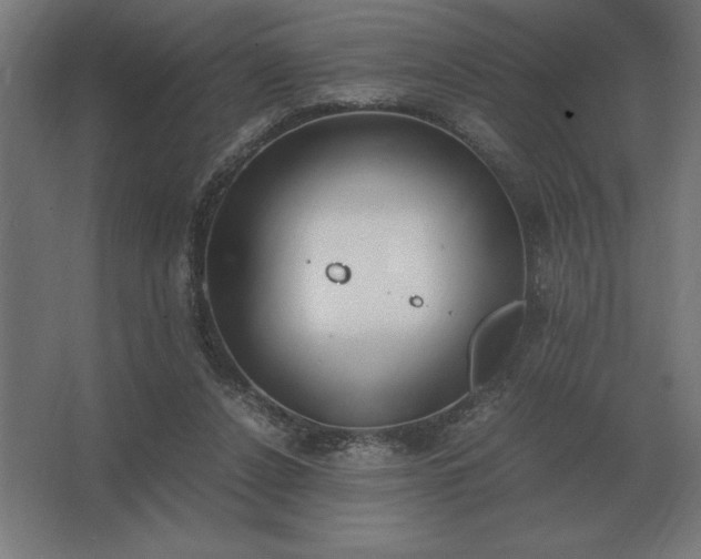 X0000062670256200512281747