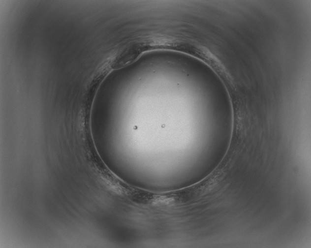 X0000062670257200512281747