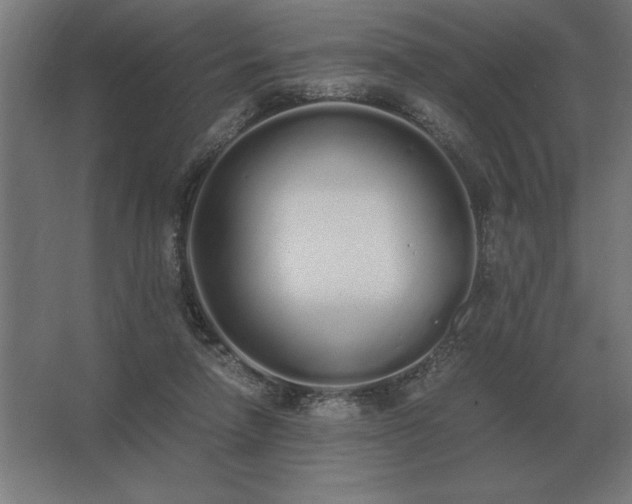 X0000062670258200512281747