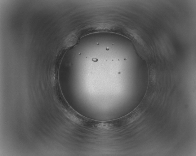 X0000062670261200512281747