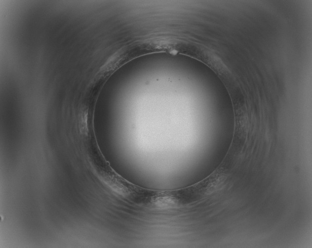 X0000062670262200512281747