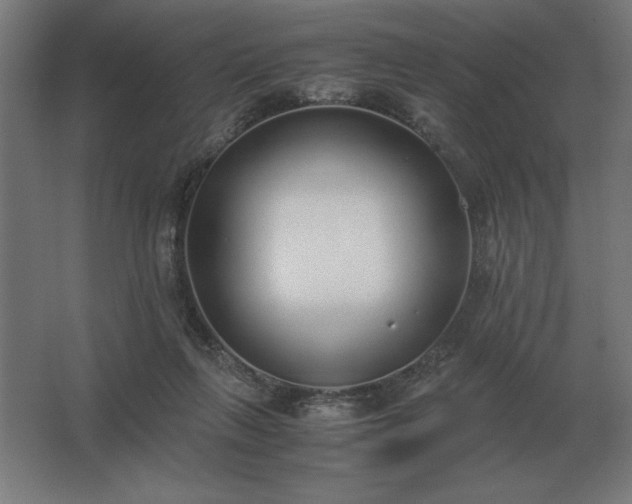 X0000062670263200512281747