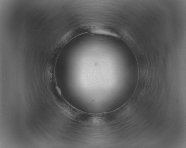 X0000062670264200512281747