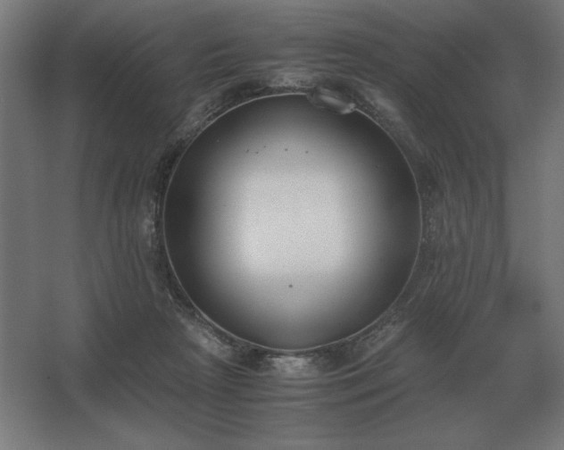 X0000062670265200512281747