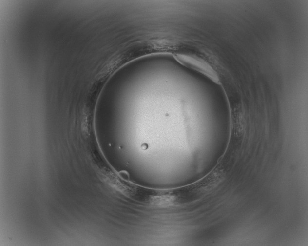 X0000062670266200512281747