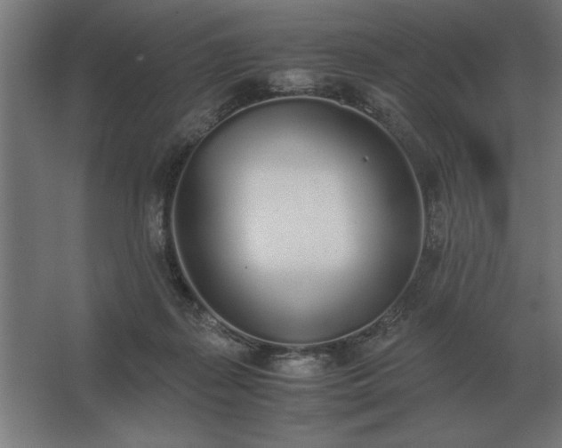 X0000062670267200512281747