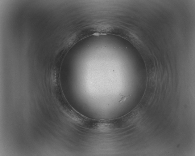 X0000062670268200512281747