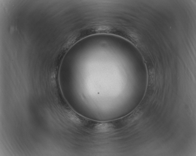 X0000062670269200512281747