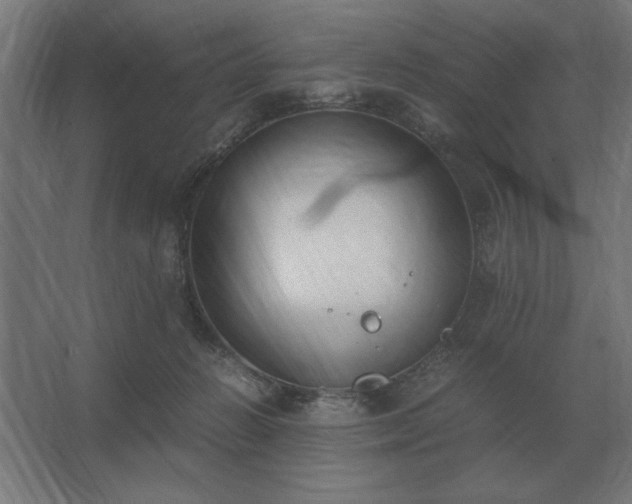 X0000062670270200512281747