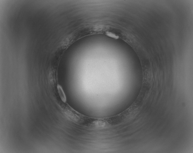 X0000062670272200512281747