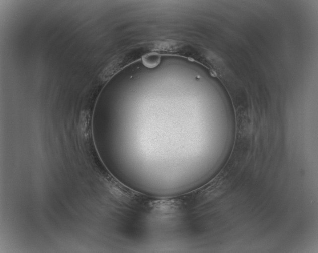 X0000062670273200512281747