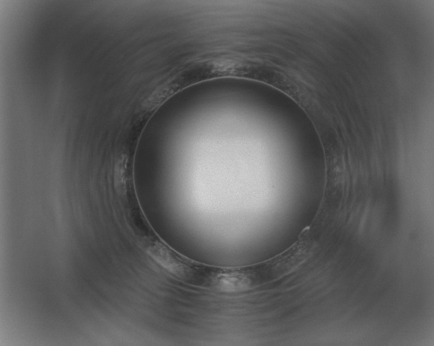 X0000062670275200512281747