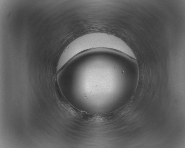 X0000062670276200512281747