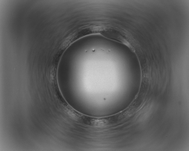 X0000062670277200512281747