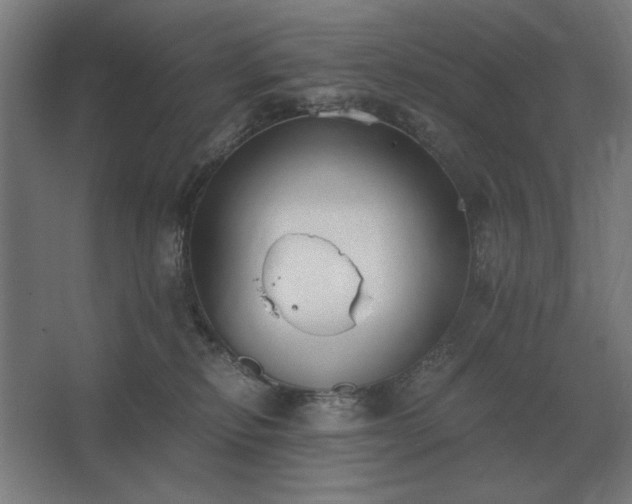 X0000062670278200512281747