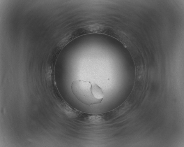 X0000062670279200512281747