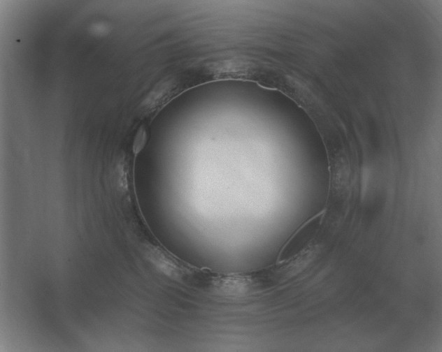 X0000062670282200512281747