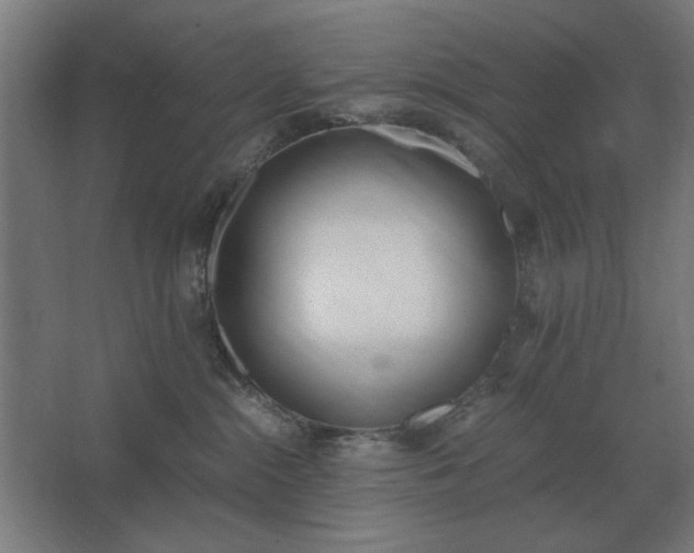 X0000062670284200512281747