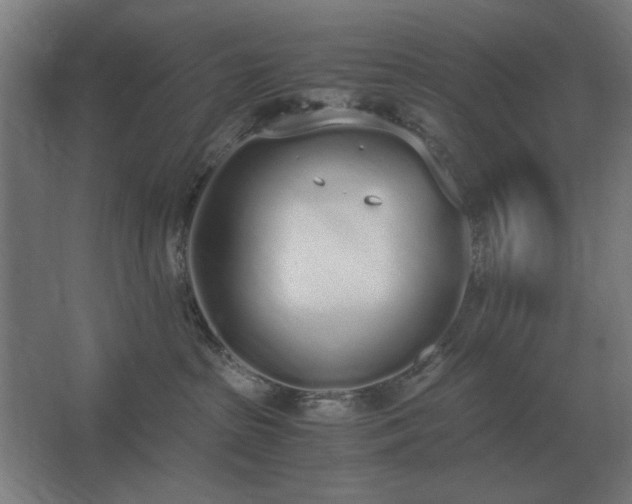 X0000062670285200512281747