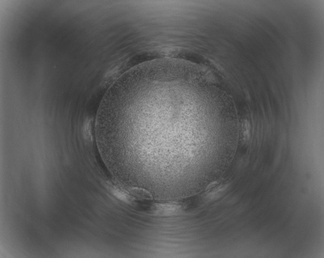 X0000062670286200512281747