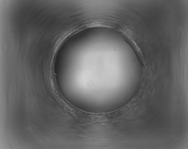 X0000062670289200512281746