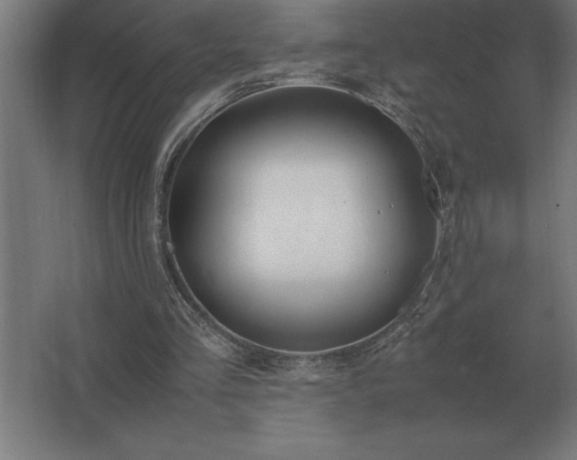 X0000062670293200512281746