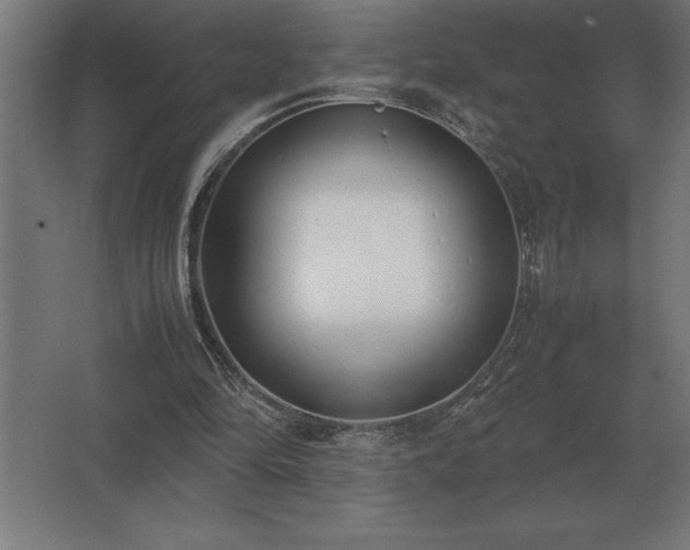 X0000062670294200512281746