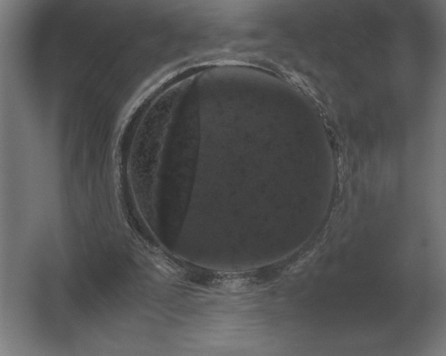 X0000062670295200512281746