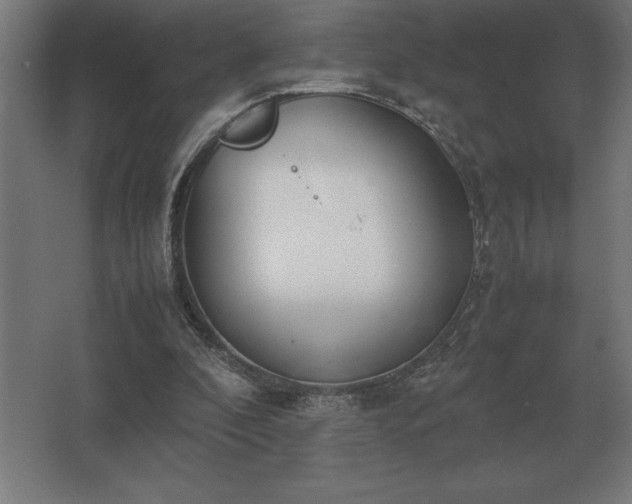 X0000062670296200512281746