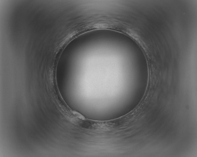 X0000062670297200512281746