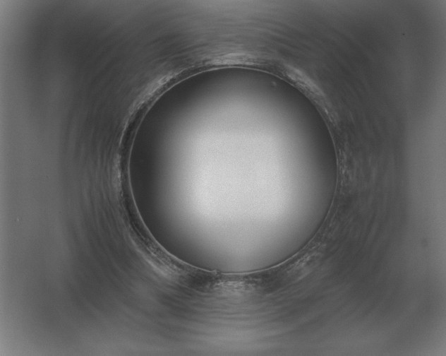 X0000062670298200512281746