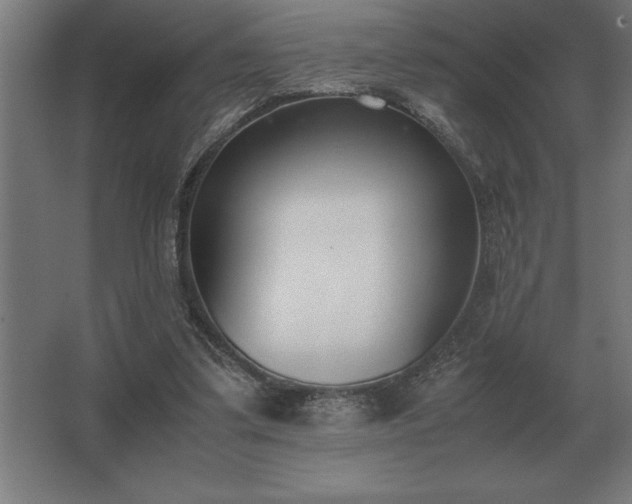 X0000062670299200512281746